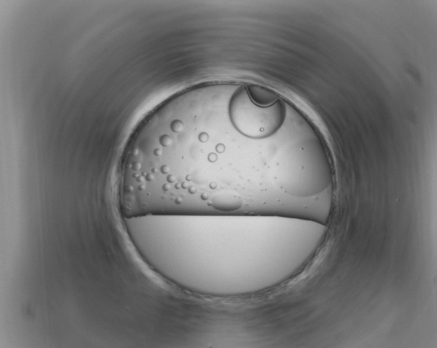 X0000114631053200910201018