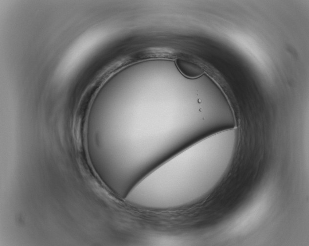 X0000114631054200910201018