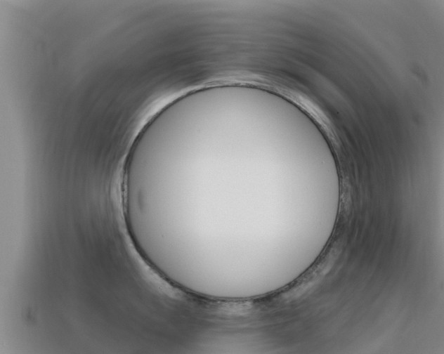 X0000114631055200910201018