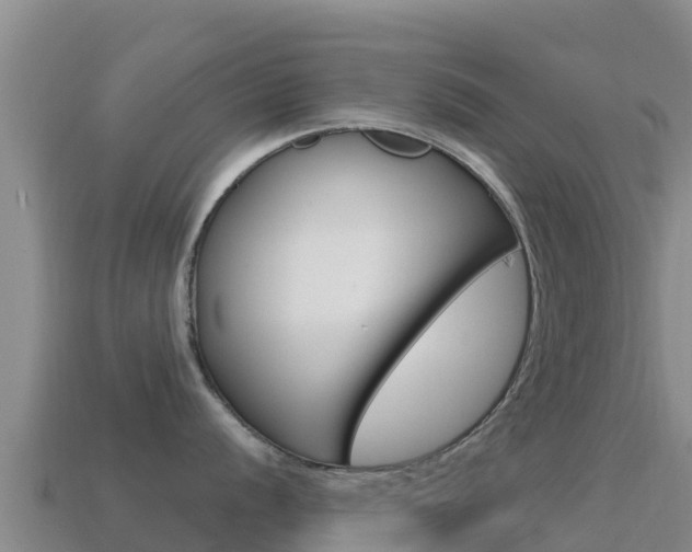 X0000114631056200910201018