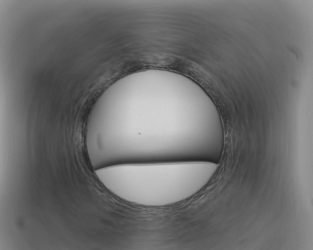 X0000114631058200910201017