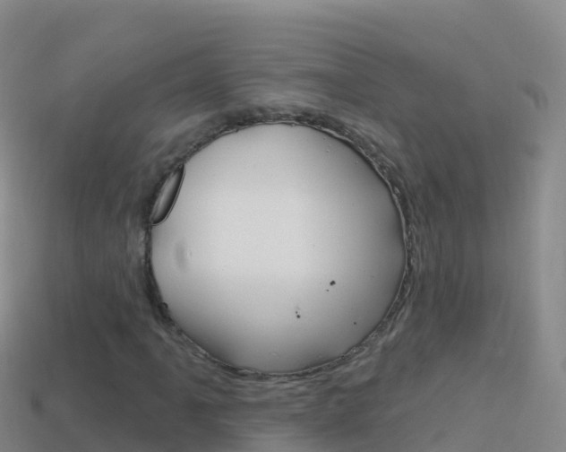 X0000114631061200910201017