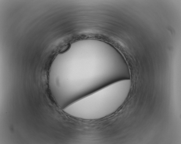 X0000114631062200910201017