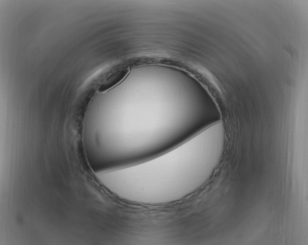 X0000114631064200910201017