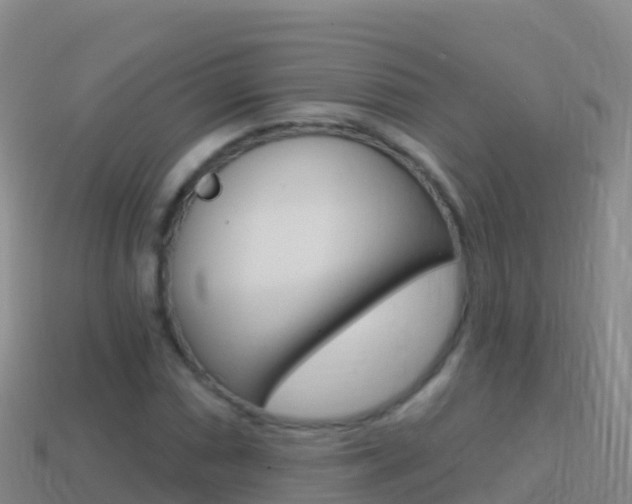 X0000114631066200910201017