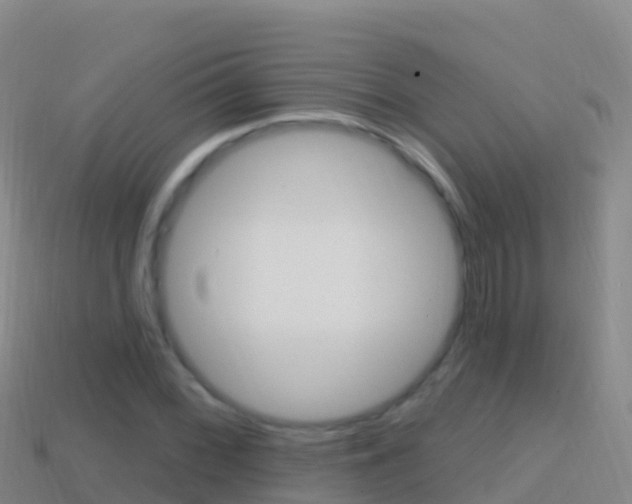 X0000114631068200910201017