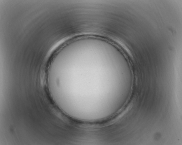 X0000114631069200910201017