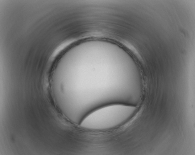 X0000114631070200910201017