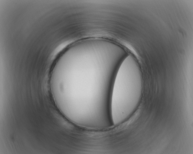 X0000114631071200910201017