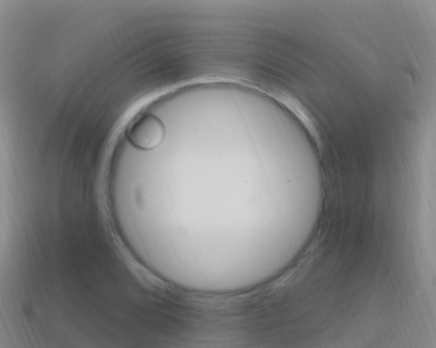 X0000114631072200910201017