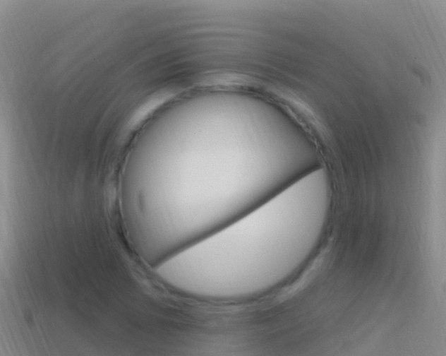 X0000114631073200910201017