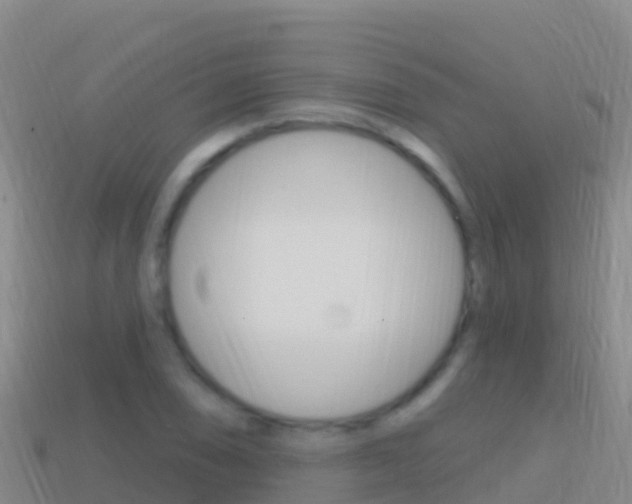 X0000114631074200910201017