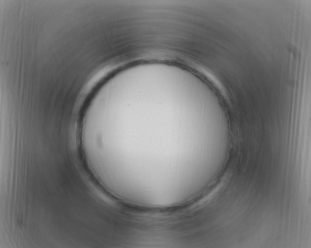 X0000114631075200910201017