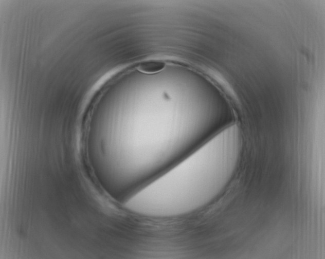 X0000114631076200910201017