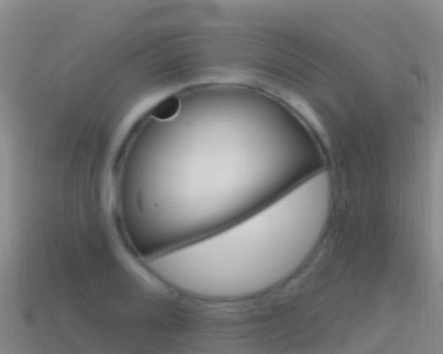 X0000114631080200910201017