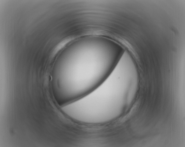 X0000114631081200910201017
