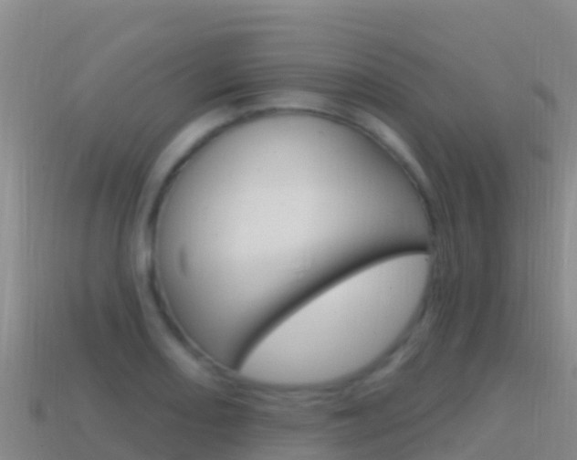 X0000114631082200910201017