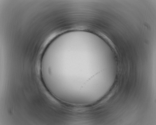 X0000114631083200910201017