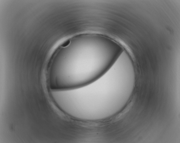 X0000114631085200910201017