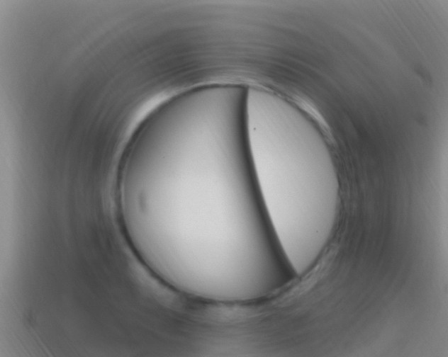 X0000114631087200910201017