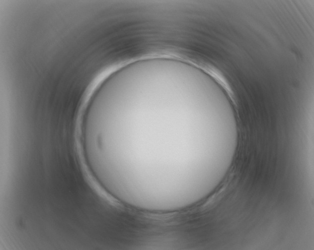 X0000114631088200910201017