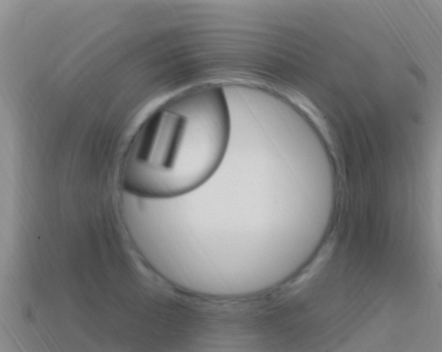 X0000114631089200910201017