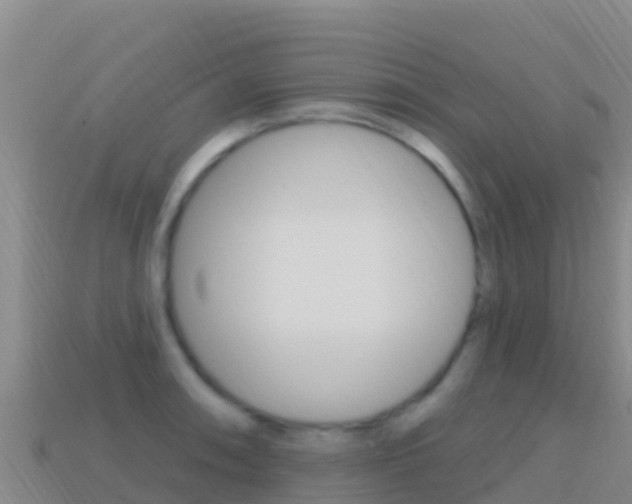 X0000114631090200910201017