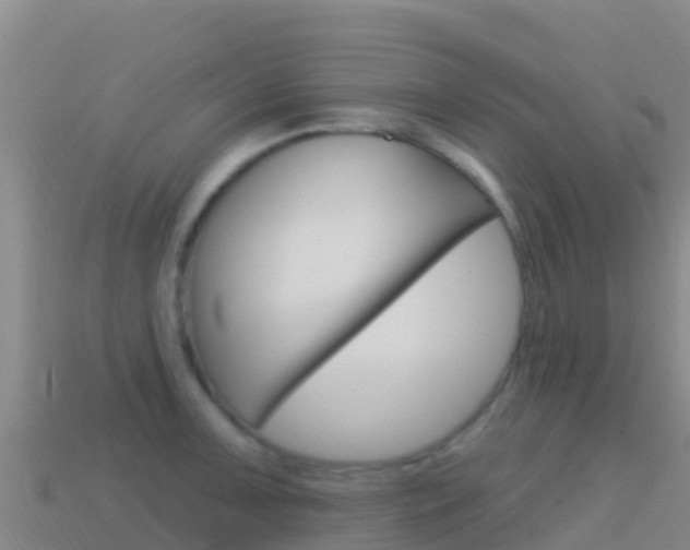 X0000114631091200910201017