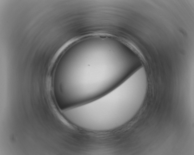 X0000114631092200910201017