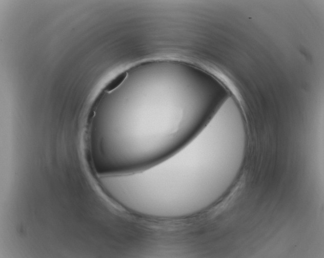 X0000114631093200910201017