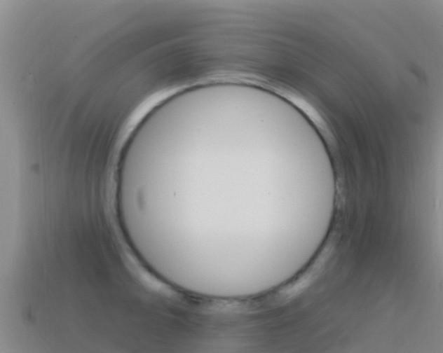 X0000114631094200910201017