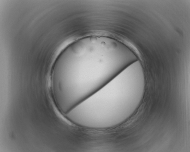 X0000114631095200910201017