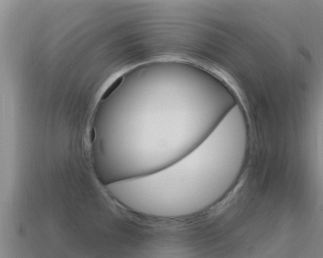 X0000114631097200910201017