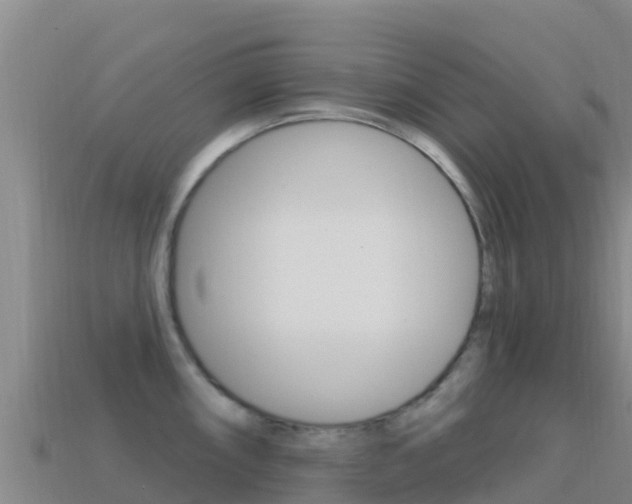 X0000114631098200910201017