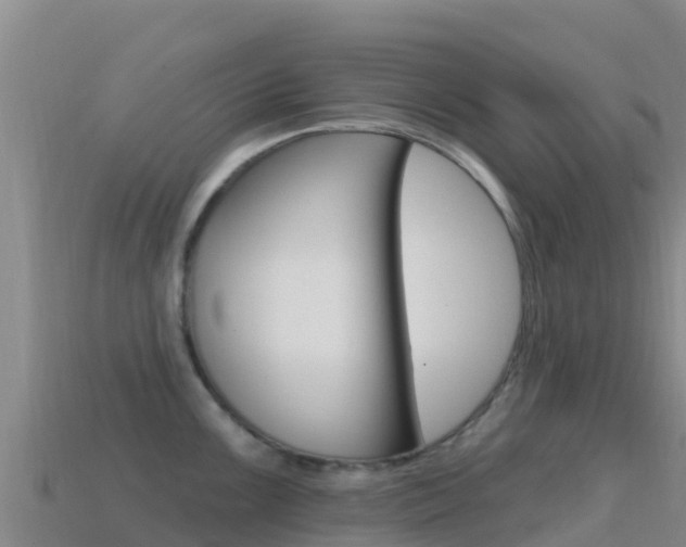 X0000114631099200910201017