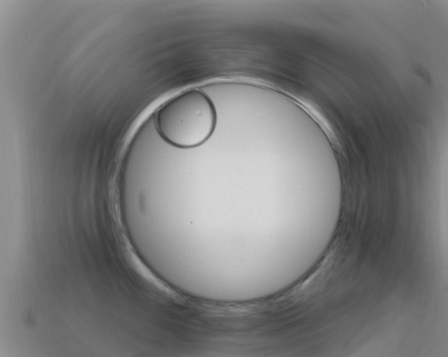 X0000114631100200910201017