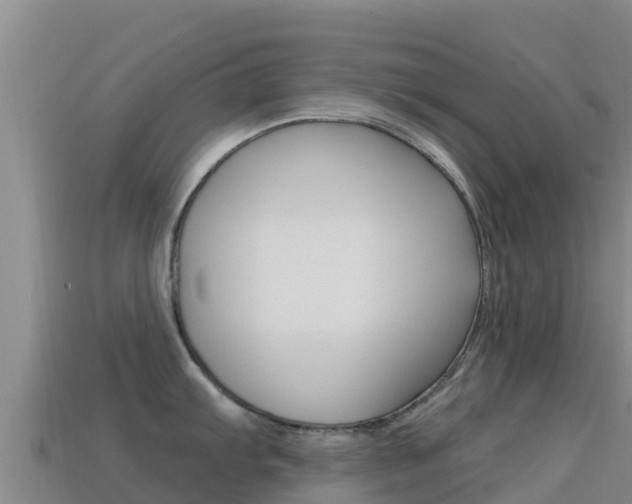 X0000114631103200910201017