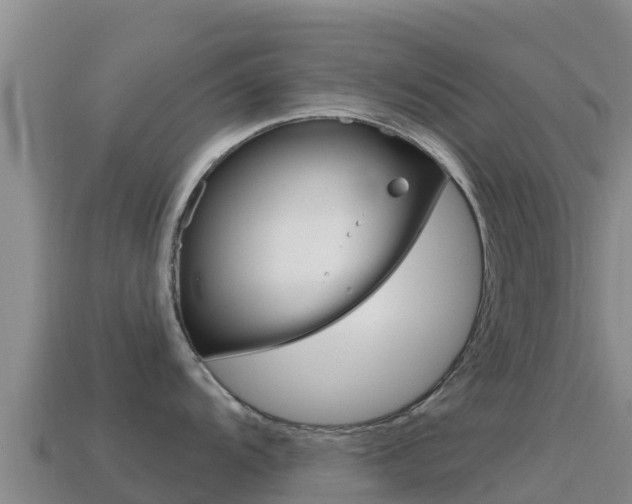 X0000114631104200910201017