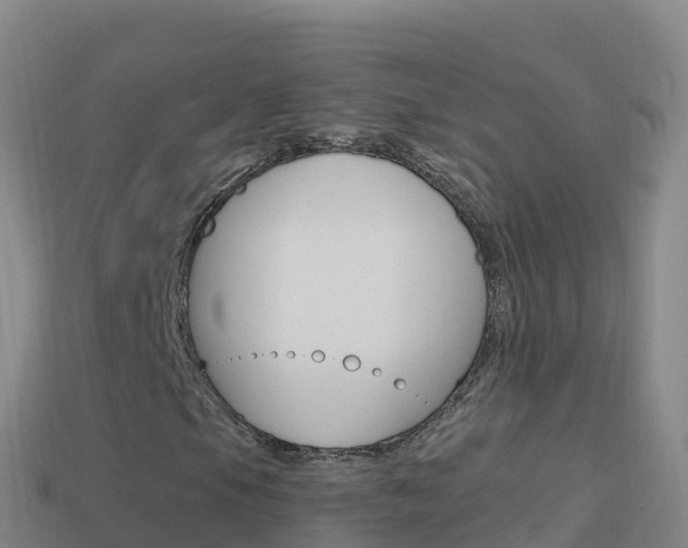 X0000114631105200910201016