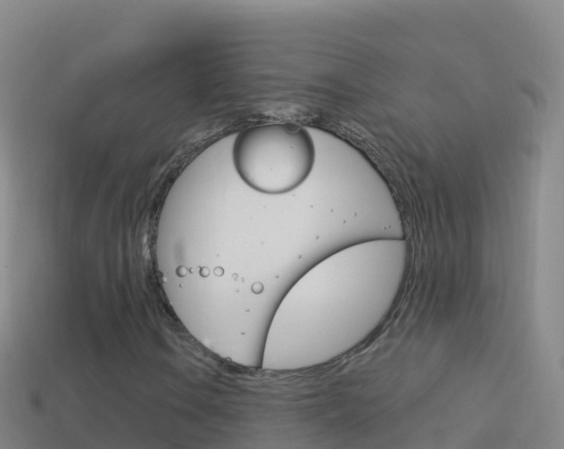 X0000114631106200910201016