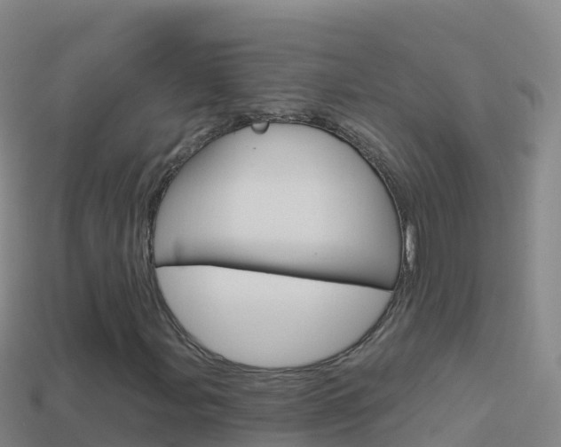 X0000114631107200910201016