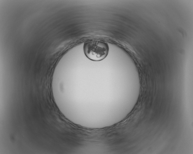 X0000114631110200910201016