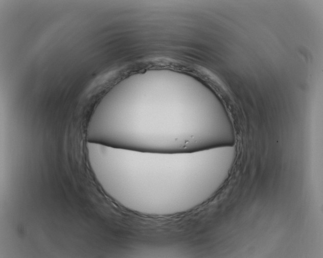 X0000114631111200910201016