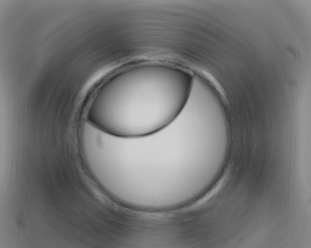X0000114631114200910201016