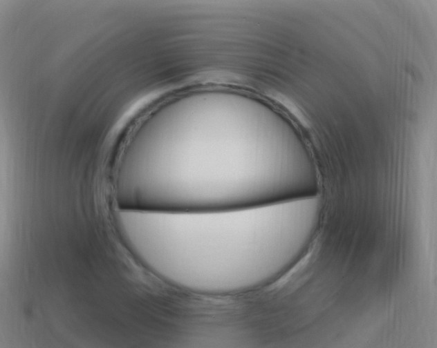 X0000114631115200910201016