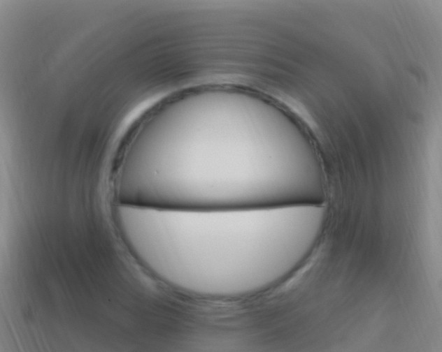 X0000114631119200910201016