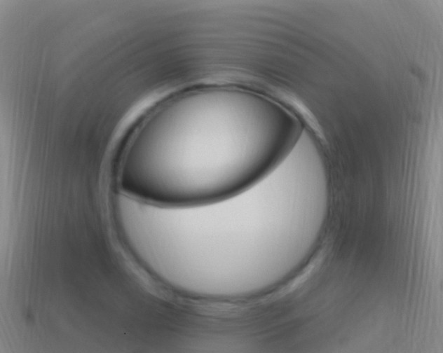 X0000114631122200910201016