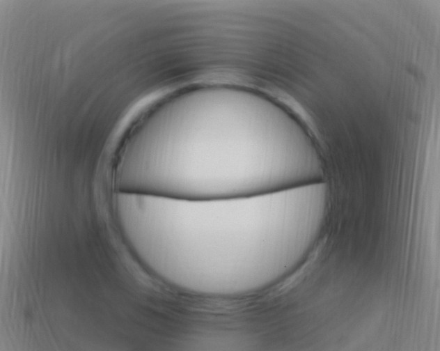 X0000114631123200910201016