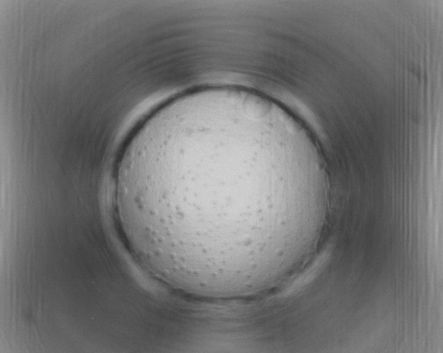 X0000114631125200910201016