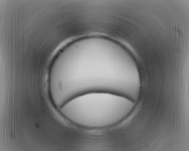 X0000114631126200910201016